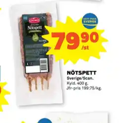 Scan grillspett