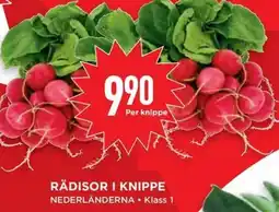 Willys RÄDISOR I KNIPPE erbjuda