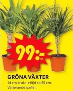 ICA Kvantum GRÖNA VÄXTER erbjuda