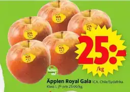 ICA Supermarket Äpplen Royal Gala erbjuda