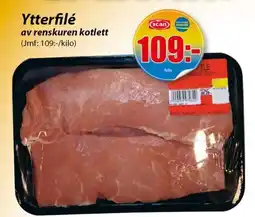 Ytterfilé