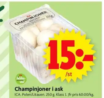 ICA Supermarket Ica champinjoner erbjuda