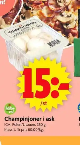 ICA Supermarket Champinjoner i ask erbjuda