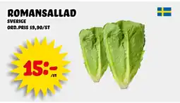 Nelins romansallad erbjuda