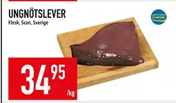 Matdax UNGNÖTSLEVER erbjuda