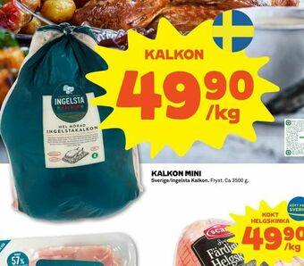 Kalkon mini