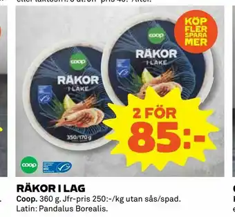 Coop Daglivs Räkor i lag erbjuda