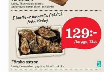 Färska ostron