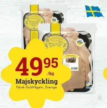Majskyckling