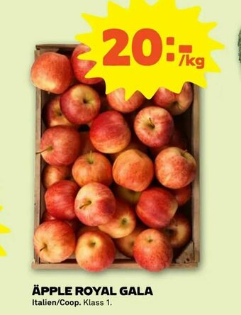 Stora Coop Äpple royal gala erbjuda