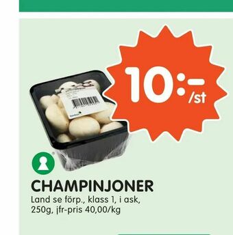 Tempo Champinjoner erbjuda