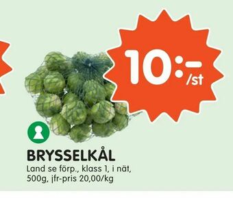 Tempo Brysselkål erbjuda