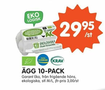 Tempo Ägg 10-pack erbjuda