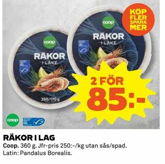 Coop Räkor i lag erbjuda