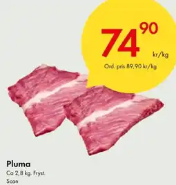 Snabbgross Pluma erbjuda