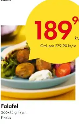 Snabbgross Falafel erbjuda
