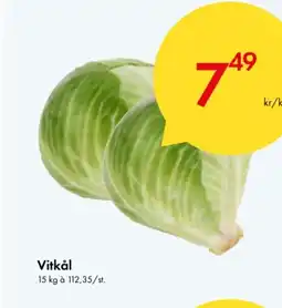 Vitkål