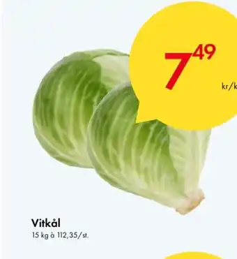 Snabbgross Vitkål erbjuda