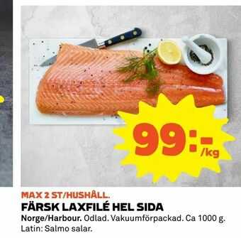 Färsk laxfilé hel sida