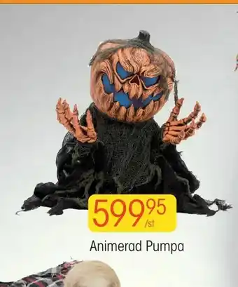 EKO Animerad Pumpa erbjuda