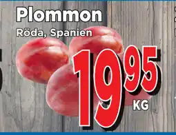 Supergrossen Plommon erbjuda