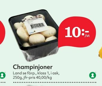 Hemköp Champinjoner erbjuda