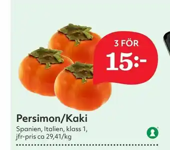Persimon/Kaki