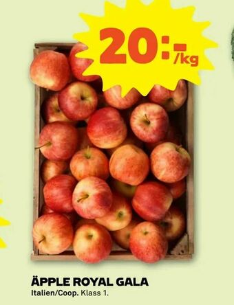 Stora Coop Äpple royal gala erbjuda