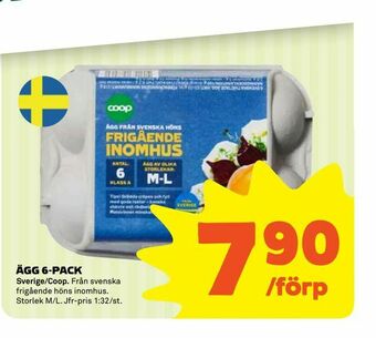Coop Ägg 6-pack erbjuda