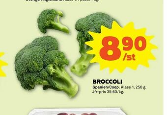 Coop Forum Broccoli erbjuda