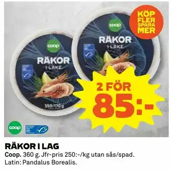 Räkor i lag