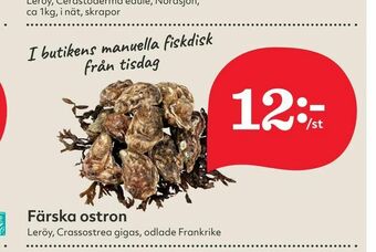 Hemköp Färska ostron erbjuda