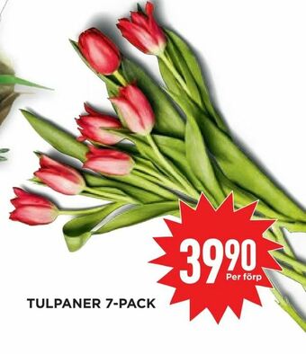 Willys Tulpaner 7-pack erbjuda