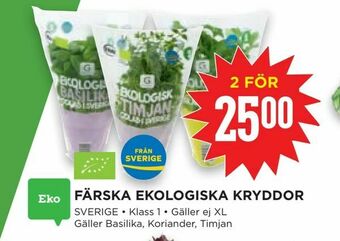 Willys Färska ekologiska kryddor erbjuda