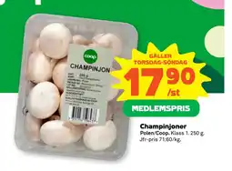 Stora Coop Champinjoner erbjuda