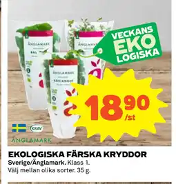 Coop Daglivs EKOLOGISKA FÄRSKA KRYDDOR erbjuda