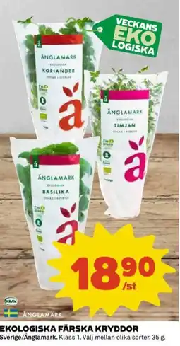 Coop EKOLOGISKA FÄRSKA KRYDDOR erbjuda