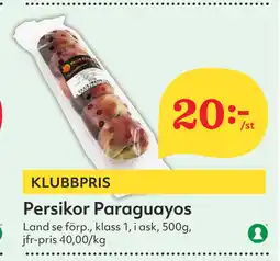 Persikor Paraguayos