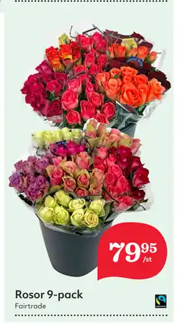 Hemköp Rosor 9-pack erbjuda