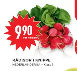 Willys Hemma RÄDISOR I KNIPPE erbjuda