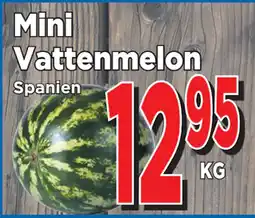 Supergrossen Mini Vattenmelon erbjuda