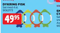 Jem&Fix DYKRING FISK erbjuda