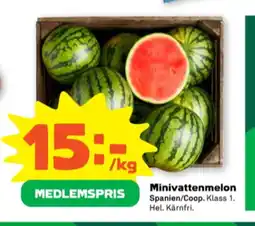 Stora Coop Coop vattenmelon erbjuda