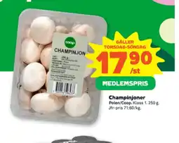 Stora Coop Coop champinjoner erbjuda