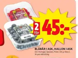 ICA Kvantum BLÅBÄR I ASK, HALLON I ASK erbjuda