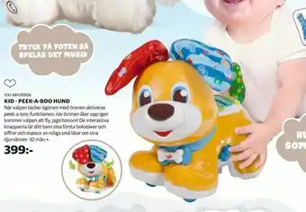 Lekia Kid - peek-a-boo hund erbjuda