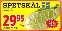ICA Kvantum SPETSKÅL erbjuda