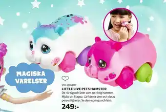 Lekia Little live pets hamster erbjuda