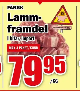 Lamm