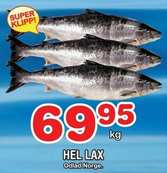 Hel lax